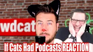 If Cats Had Podcasts (Ryan George) REACTION