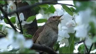 Вопрос - ответ из подсознания 08.05.2023 (TIK-TOK)