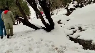 manali snow fall start 2022 and AtoZ plan shimla tourist place