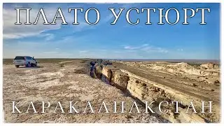 Каракалпакстан: дно Аральского моря. Плато Устюрт. Судачье озеро (Aral Sea. Uzbekistan travel)