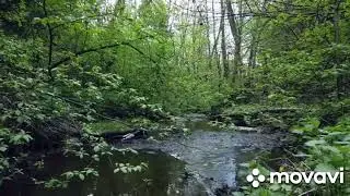 5 часть. На СОН грядущий послушайте фрагменты своих любимых мелодий.