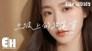 盧潤澤 - 土坡上的狗尾草『土坡上狗尾巴草搖啊，搖得人眼淚掉，你那頭月亮照不照得到，唱首狗兒的歌謠，我的小黃你卻已聽不到。』【動態歌詞MV】