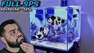 AQUÁRIO MARINHO CUBO DE 50CM FULL CORAIS SPS