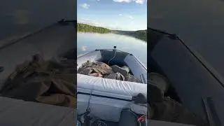 #рекомендации #shortvideos #рыбалка #top #automobile #viral #fishing #boating #tohatsu #nature