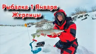 Трудовая рыбалка 1 Января. Жерлицы на реке. Что тут происходит???