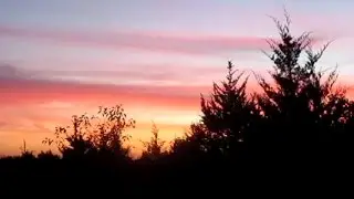 Американская дача и звери в лесу