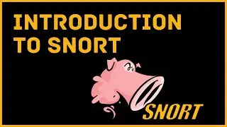 Introduction To Snort IDS