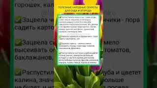 Полезные народные секреты для сада и огорода.