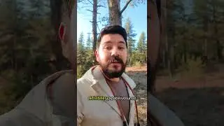 Gece kod yazmak mı, sabah erken kalkmak mı? #shorts