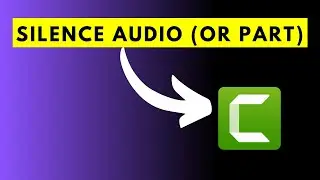 How to Silence Audio or Part of an Audio File in Camtasia