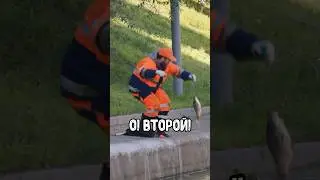 Говорит: Прыгну в воду если поймаешь 😄