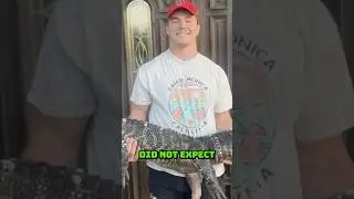 Carson Steele LOVES His Alligator #nfl #football #chiefs