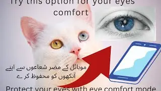 How to Protect your eyes from harmful mobile screen rays.