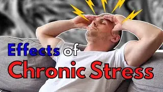 Chronic Stress - Effects on your Body and Mind | The Science Behind Stress