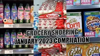 Grocery Shopping January 2023 Compilation with Prices