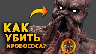 КАК УБИТЬ КРОВОСОСА В РЕАЛЬНОСТИ? | STALKER | Ammunition Time