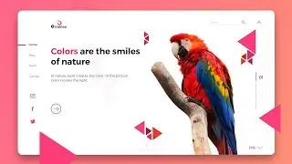 UI UX Design | Website UI Design Tutorial 2019 | Web Design Tutorial In Adobe XD