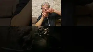 птица- носорог. интересный факт. #ржя #глухие #deaf #интересныефакты