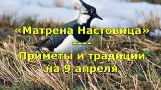 Народный праздник «Матрена Настовица». Приметы и традиции на 9 апреля.