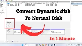 How To Convert dynamic disk to normal Disk Without Data Loss || Dynamic disk problem