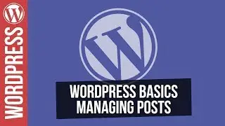 Wordpress for Beginners - Working with Posts