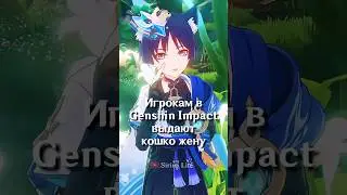 Новая СТАНДАРТНАЯ КОШКО-ЖЕНА в Genshin Impact! #SHORTS #ItAllCanWait #genshinimpact