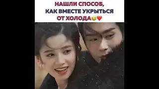 Нашли способ, как вместе укрыться от холода😂❤️ 
