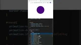 Css Animation Effect Tutorial | For Beginners | HTML | CSS