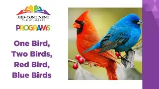 One Bird, Two Birds, Red Bird, Blue Birds  |  Community Programming