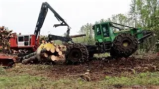 Logging 4 Acres of Old Pasture to Make It New Again (from Start to Finish)