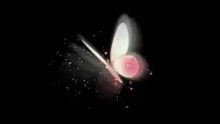 🌸Glow Butterfly Black screen effect, No copyright - free video, NP Creative