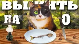 ПРОВЕРКА СЛИВКИ ШОУ! КАК ПРОЖИТЬ ЦЕЛЫЙ ДЕНЬ - НА 0 РУБЛЕЙ!