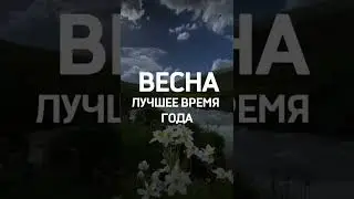 САМОЕ ЛУЧШЕЕ ВРЕМЯ, КОГДА СТОИТ СТРОИТЬ #shorts #стройка #строительство