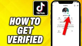 How To Get Verified on TikTok (2024)