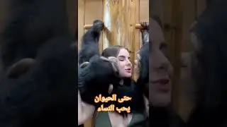 #الحب_الصادق يأتي حتى من الحيوانات حتى الحيوانات تحب النساء #السعودية #مصر #سوريا #صبايا #الجزائر