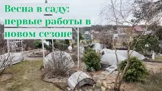 Весна в саду: первые работы в новом сезоне