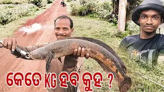 MONSTER SNAKEHEAD FISHING (बहुत मुस्कील से बाहर निकाला),#bijayafishingtricks