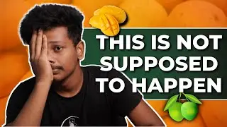 GOOGLE IS ACTUALLY PROMOTING THIS SCAM!? (I got *SCAMMED* by Mangoes)