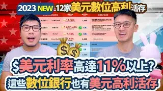 魔鬼藏在細節裡! 美元活存最高11.08%?? 12間美元數位高利活儲PK 條件最好的還加碼台幣高利活存1.3%｜柴鼠美元數位高利活存2023Q4