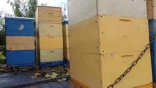 Прицеп для перевозки ульев/Многокорпусные ульи/Перевозка на зимний точек