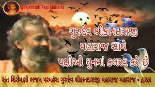 પક્ષીઓ ના કલરવ સાથે ધુન | સંત શિરોમણી ભજન પરમહંસ બ્રહ્મલીન ગુરુદેવ શ્રી કાનદાસજી મહારાજ  kandas Bapu