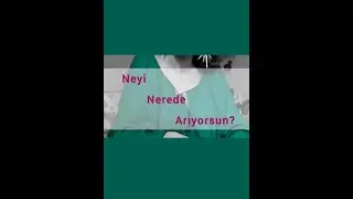 İnsanın Gerçek Arayışı