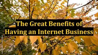 The Great Benefits of Having an Internet Business