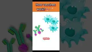 How vaccines work 🦠💉 #vaccination #shorts #ytshorts