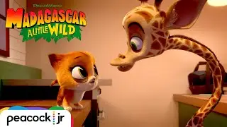 Search for the Missing Tooth | MADAGASCAR A LITTLE WILD