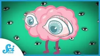 Are Your Eyes Part of Your Brain?