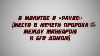 45. О молитве в «Рауде» (место в мечети Пророка ﷺ, между минбаром и его домом)