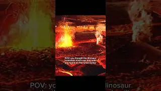 When 97% of life on earth died… 