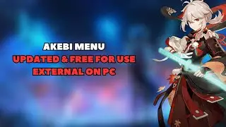 Genshin Impact 5.2 Akebi Hack / External & FREE FOR USE ON PC