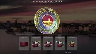 мажор 2021 cs:go